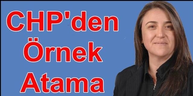 CHP'de Örnek Atama