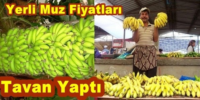 Yerli Muz Fiyatları Tavan Yaptı