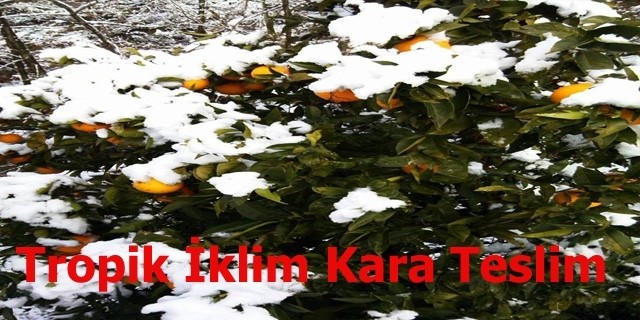 Gazipaşa Kara Teslim