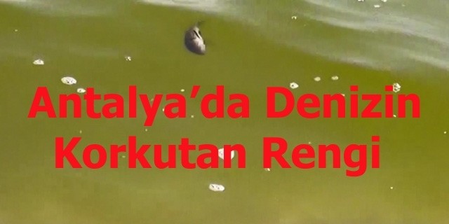 Antalya'da Yeşil Deniz Muamması