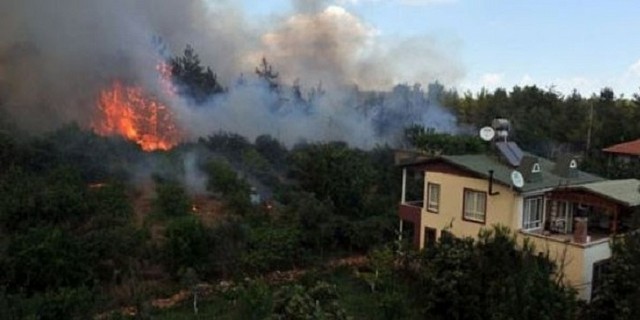 Antalya Konyaaltı’nda Orman Yangını