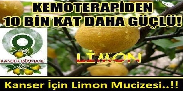 Kansere Karşı Limon Mucizesi